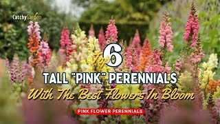Top 6 Tall Perennials That'll Add a Pop of Pink to Your Landscape 🌺🌷🌸 // Gardening Ideas