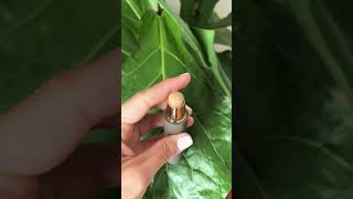 Merit’s Complexion Stick - New To Me Shades #meritbeauty #cleanbeauty #newshades #swatches #gifted