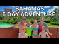 UNBEDINGT TUN Familienaktivitäten Auf Den Bahamas Nassau Atlantis Exuma