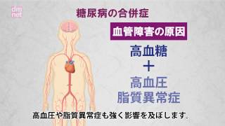 □スカイネット 立体パズル 4D VISION 人体解剖 No.15 雌性生殖器解剖