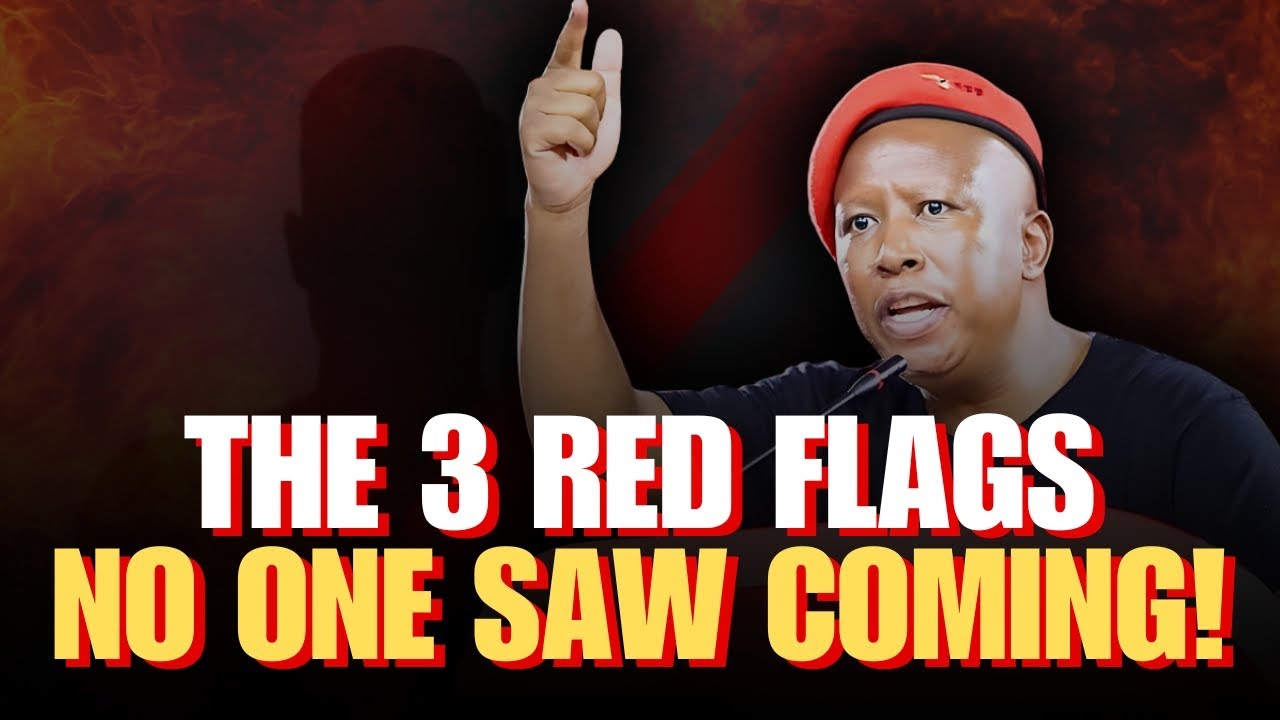 Julius Malema EXPOSED — The 3 Red Flags No One Saw Coming!