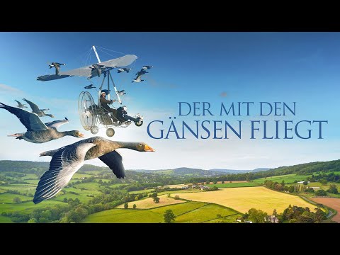 DER MIT DEN GÄNSEN FLIEGT