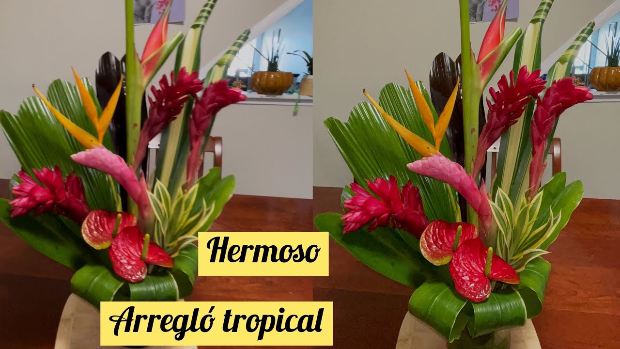 ARREGLO floral con flores propicales ✨;TROPICAL LOVE 💕#beautiful #arreglofloral