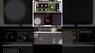 BOSS RE-20 Space Echo - Delay Swells 2/5