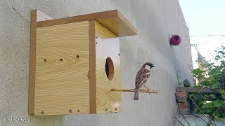 Bird Nest House DIY | Bird House Making At Home