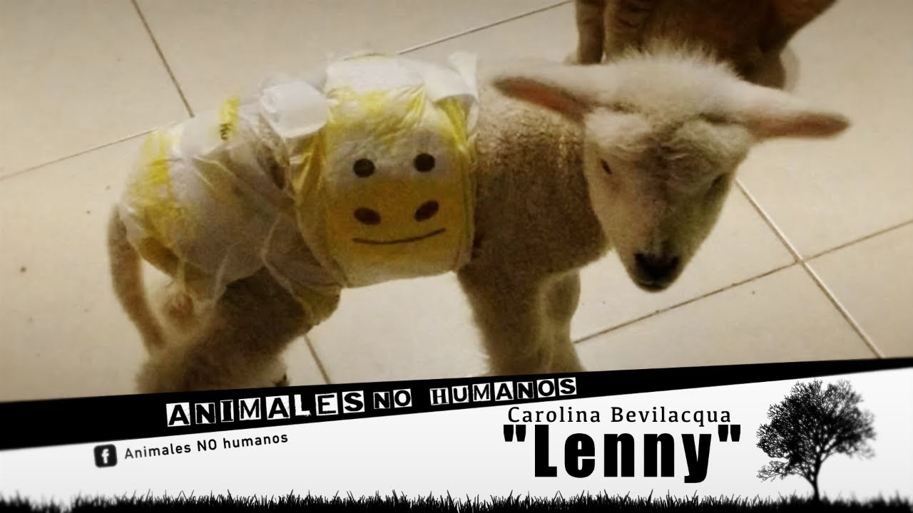 Animales No Humanos "LENNY" - CAP 5°