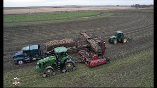 Colorado Sugar Beet Harvest - 2022