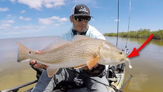 Sight Fishing For Redfish: How To Use A Paddletail When Sight Casting To Reds