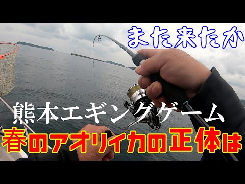 熊本エギング ミニボート釣行 熊本のアオリイカはポテンシャルが高い ボートエギングゲーム Youtube