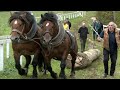 MEDIĆ SE POJAČAO OPASNIM DORATOM I UZ ZIS A JURIŠA PO TITULU IZAČIĆA MEDIĆ SE POJAČAO OPASNIM DORATOM I UZ ZIS A JURIŠA PO TITULU IZAČIĆA