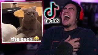 Watching The FUNNIEST TikToks People Have Seen (Apparently)