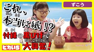 本当に紙!? 付録の黒ひげのクオリティがすごい【ひまひまコラボ】