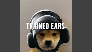 R6 Trained Ears