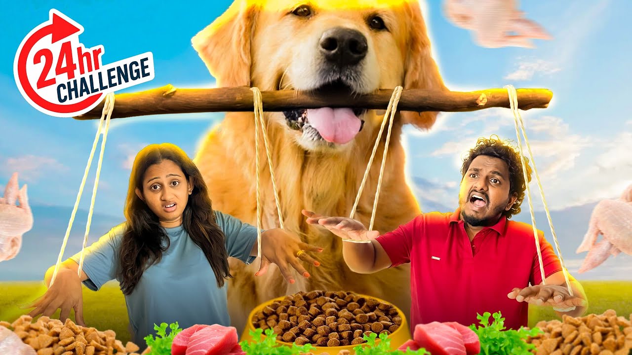 අපේ බව්වෝ අපිව මුලු දවසම පාලනය කලා 🐶🐕 Our Dogs Control Us for 24 hours CHALLENGE