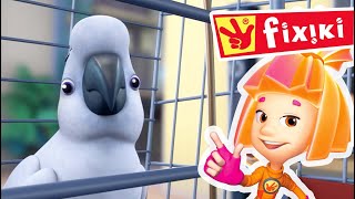 Papagalul Fixiki | Desene animate | Video pentru Copii