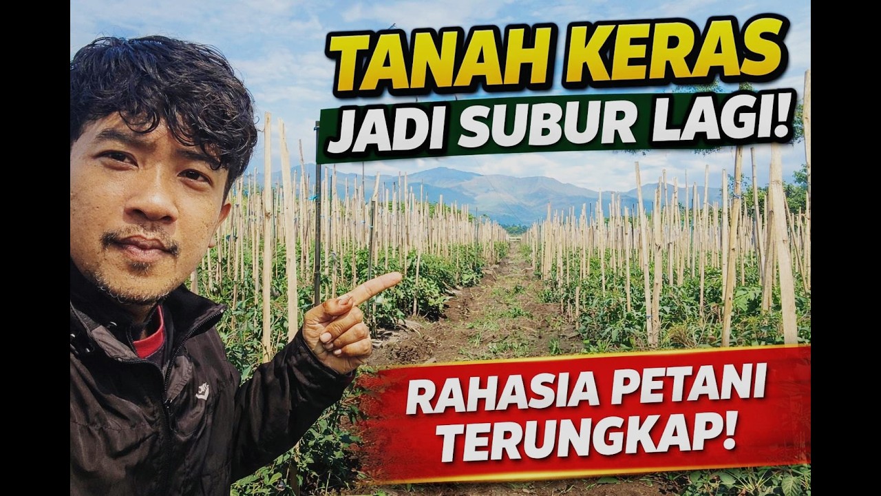 Tips & Cara Petani Bikin Tanah Cepat Subur!