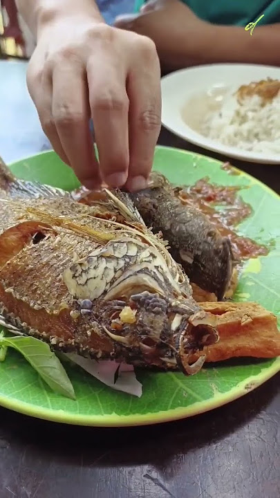 Pagi-pagi Sudah Berpeluh Akibat Sambal Terasi Ikan Goreng Warung Senopati #shorts