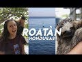 Top 10 Things To Do in Roatan - YouTube