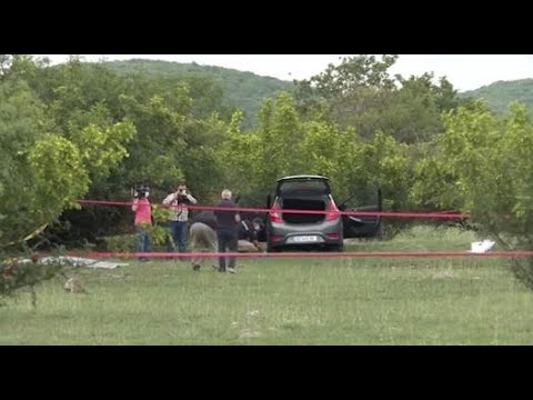 თამარ ბაჩალიაშვილის გაუჩინარებისა და გარდაცვალების საქმე პოლიტიკური დაპირისპირების მიზეზი გახდა