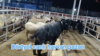 Hatay Dörtyol canlı hayvan pazarı.. 20/01/2024