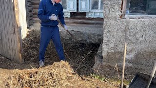 Cleaning of the territory / Привожу двор в порядок. На помощь пришла бабушка Тут 10 лет никто не жил