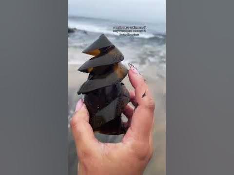 oeuf de requin - YouTube