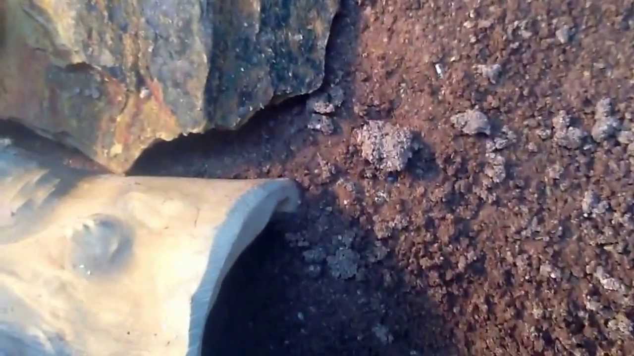 Bearded dragon habitat made with zoo med excavator clay YouTube