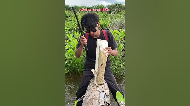 MAKE A TOY BATTLE SHIP FROM A TREE TRUNK, THE RESULT IS SO COOL😅 #229 #bocahpecicilan