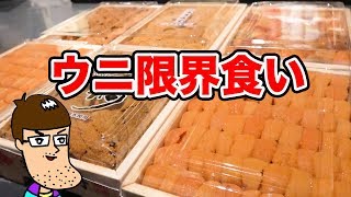 【ウニ天国】極上のウニを限界食いしてみた！！