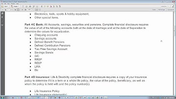 Overview of the Ontario Family Law Form 13.1 Financial Statement