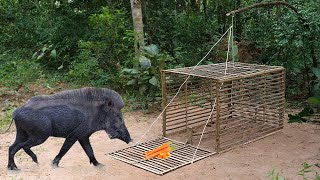 Build Unique Primitive Wild boar Trapping Tool Using By Bamboo cage | New Technique Of Wild Pig Trap