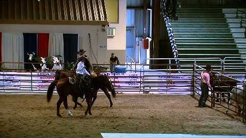 Cattlemens College - Mesa and Curt Pate - Cattle Handling Expert - Ryegate, MT