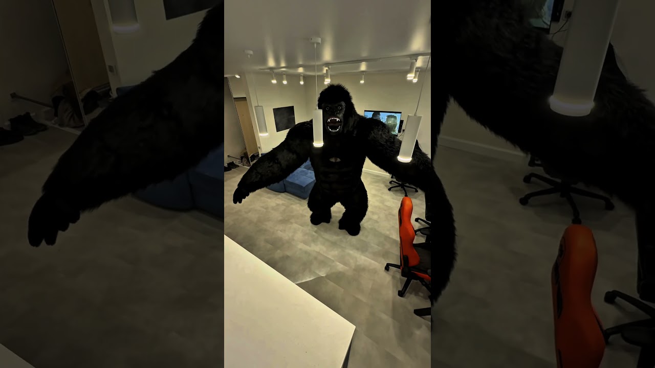 Cat mode vibes — so cheerful! 🐱😄