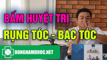 Bấm huyệt trị rung tóc, bạc tóc | DONGNAMDUOC.NET