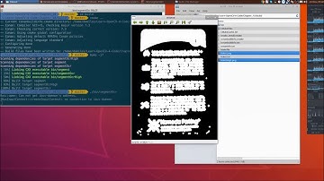 10. Developing Segmentation Algorithms for Text Recognition