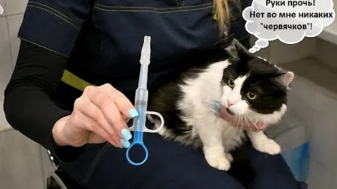 Нужно ли 