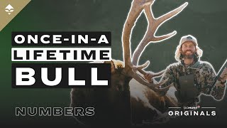 An Epic Hunt for Big Elk - NUMBERS by GOHUNT 73,189 views 12 days ago 36 minutes