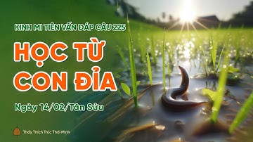 Học từ con đỉa | Kinh Mi Tiên Vấn Đáp câu 225 | Thầy Thích Trúc Thái Minh