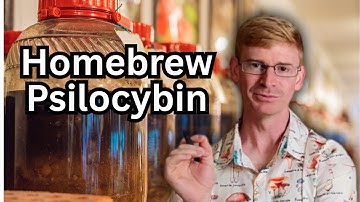 Professor Makes Psychedelics in GMO Bacteria: Interview