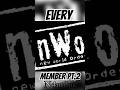 Every NWO member (pt.2)