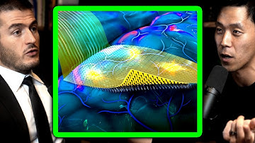 History of Brain-Computer Interfaces | Neuralink - DJ Seo and Lex Fridman