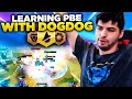 LEARNING PBE WITH DOGDOG! | TFT | Teamfight Tactics Galaxies