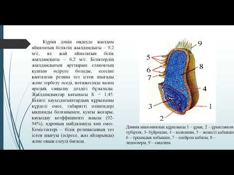 Бейне: Кім сымды оңтайлы қысады?