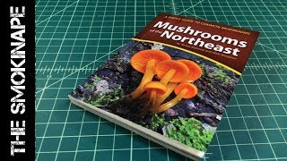洋書 Mushrooms 71wUVrj-49L._UF350,350_QL50_.jpg