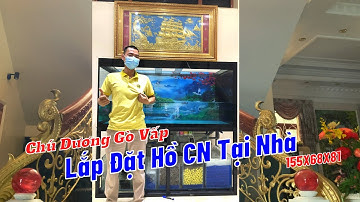 Thi Công Hồ Tại Nhà Cho Chú Dương Gò Vấp | Hồ Cá Rồng Hoàng Lam