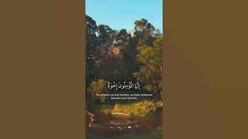 إنما المؤمنون اخوه فأصلحو بين أخويكم وتقو الله - تلاوة جميلة وهادئه - حالات واتساب قران