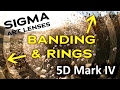 Fix -Rings and bands on video / photos taken with Sigma Art lenses on 5D Mark IV Canon EOS R