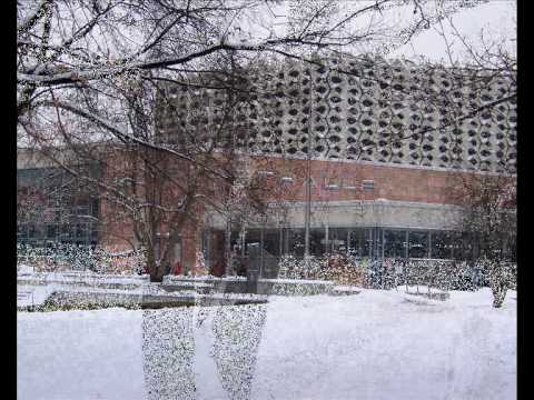 Chemnitz_ Januar_ 2010.wmv