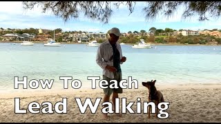 How To Teach Lead Walking