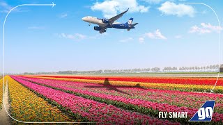 Fly non-stop with GoAir for the Srinagar Tulip Festival